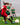 MadSportsStuff socks Flame Soccer Style Over the Calf Athletic Socks (multiple colors)