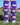 MadSportsStuff socks Neon Puppy Dogs Over The Calf Athletic Socks