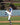 MadSportsStuff socks Striped Baseball Stirrup Socks Dugout Pattern D