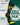 TCK socks Baylor Bears Mayhem Crew Socks