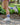 TCK socks Vintage BYU Cougars Socks NCAA Socks For Men and Womens Soft Cotton Sock