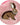 WHD socks Cute Bunny Socks for Women | Bunny Rabbit Crew Socks