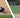 Best Baseball Socks