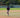 baseball stirrups