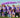 relay for life