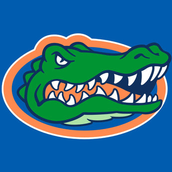 Florida Gators Socks Dad mens gift christmas stocking stuffer