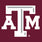 Texas A&M Aggies Socks for Men