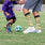 Crazy Socks for Kids and Adults