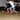 elite Basketball Socks in Youth and Adult Sizes boys girls mens womens where to buy black white stocking stuffer christmas gift best nike dri-fit tck dry stance adidas long crew retro