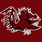 South Carolina Gamecocks