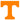 Tennessee Volunteers
