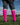 Neon Watermelon Athletic Over the Calf Socks