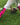 Pink Ribbon Breast Cancer Awareness Support Athletic Over the Calf Socks