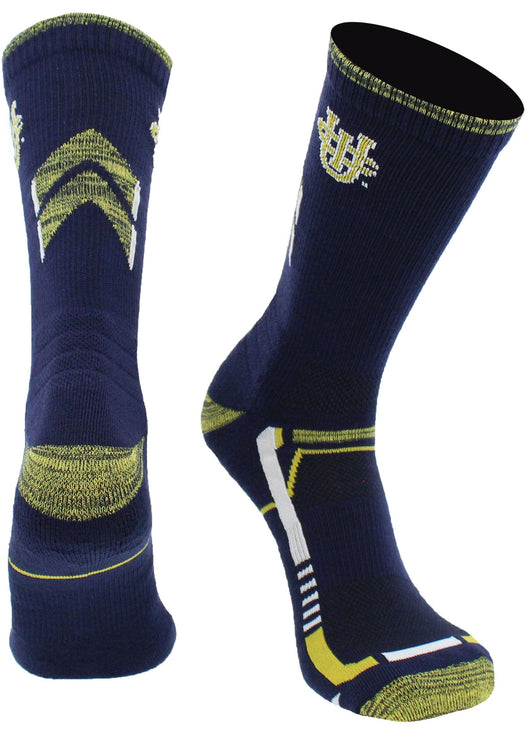 UC Irvine Anteaters Champion Crew Socks (Blue/Gold, Large)