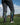 MadSportsStuff socks Crazy Socks with Lightning Bolts Electric Storm Over the Calf