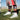 MadSportsStuff socks Flaming Skulls Lacrosse Athletic Crew Socks