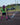 MadSportsStuff socks Neon Watermelon Athletic Over the Calf Socks