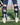 MadSportsStuff socks Wild Paw Over the Calf Socks (multiple colors)