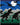 MadSportsStuff socks Wild T-Rex Dinosaur Socks Over the Calf