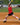 TCK socks 2-n-1 Baseball and Softball Stirrup Socks