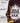 TCK socks Arizona State Sun Devils Mayhem Crew Socks