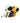 TCK socks Iowa Hawkeyes No Show Socks Full Field 3 Pack