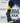 TCK socks Michigan Wolverines Mayhem Crew Socks