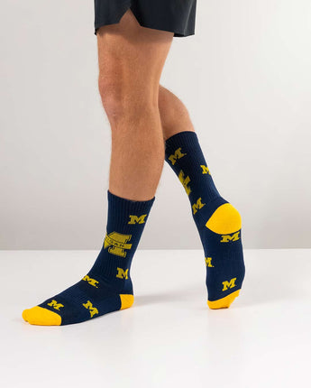 TCK socks Michigan Wolverines Mayhem Crew Socks (Imported)