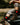 TCK socks TCK University of California Berkeley Socks - Pure Merino Wool - Far Trek
