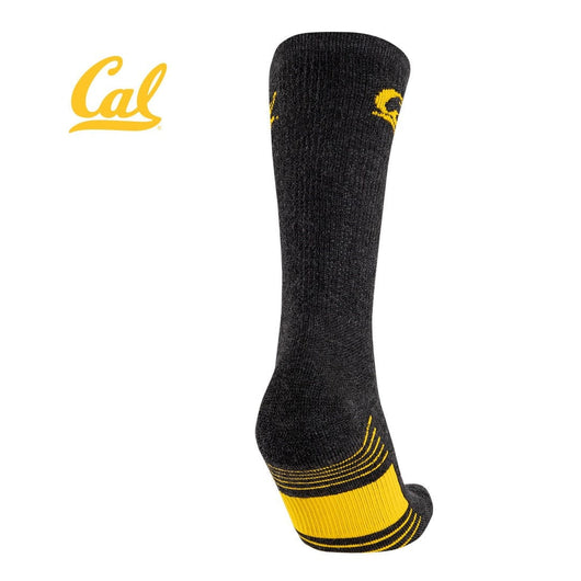 TCK socks TCK University of California Berkeley Socks - Pure Merino Wool - Far Trek