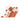 TCK socks Texas Longhorns No Show Socks Full Field 3 Pack