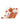 TCK socks Texas Longhorns No Show Socks Full Field 3 Pack