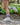 TCK socks Vintage BYU Cougars Socks NCAA Socks For Men and Womens Soft Cotton Sock