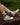TCK socks Vintage NC State Wolfpack Socks NCAA Socks For Men and Womens Soft Cotton Sock
