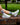 TCK socks Vintage Penn State Nittany Lions Socks NCAA Socks For Men and Womens Soft Cotton Sock