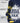 West Virginia Mountaineers Mayhem Crew Socks