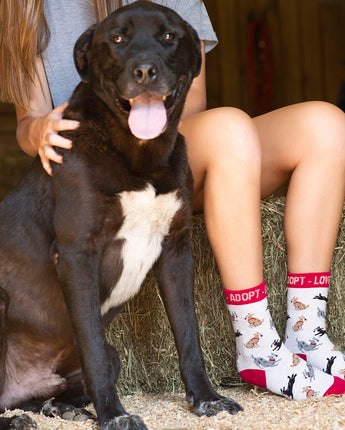 WHD socks Adopt a Dog Socks Perfect Dog Lovers Gift