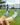 WHD socks Blue Jay Bird Socks Perfect Bird Lovers Gift