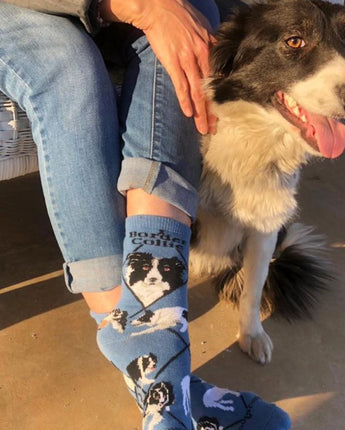 WHD socks Blue / Medium Border Collie Socks for Women | Perfect Dog Lovers Gift