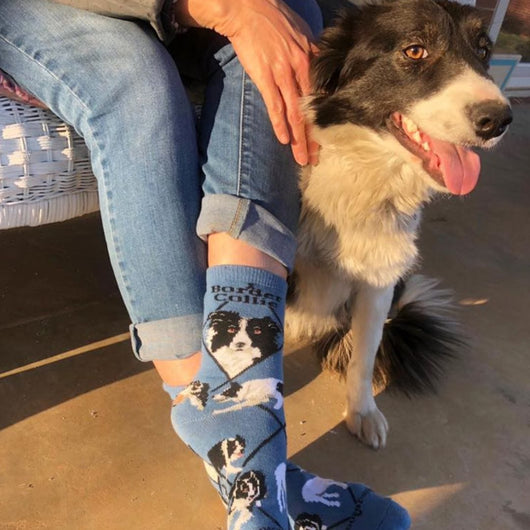 WHD socks Border Collie Socks for Women | Perfect Dog Lovers Gift