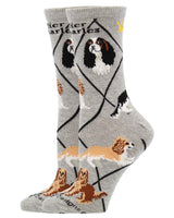 WHD socks Cavalier King Charles Spaniel Socks for Women and Men | Perfect Dog Lovers Gift