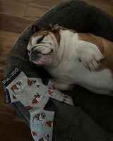 WHD socks Gray/Black / Medium American Bulldog Socks for Women | Perfect Dog Lovers Gift