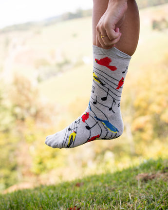WHD socks Light Gray / Medium Bird Song Socks Perfect Bird Lovers Gift
