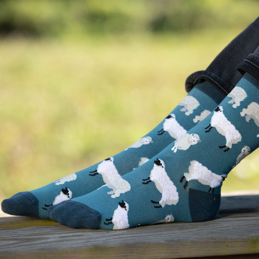 WHD Sheep Socks | Socks with Sheep on them